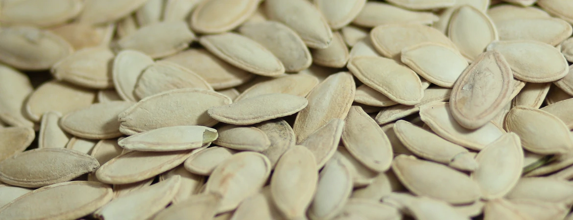 pestki dyni w łusce